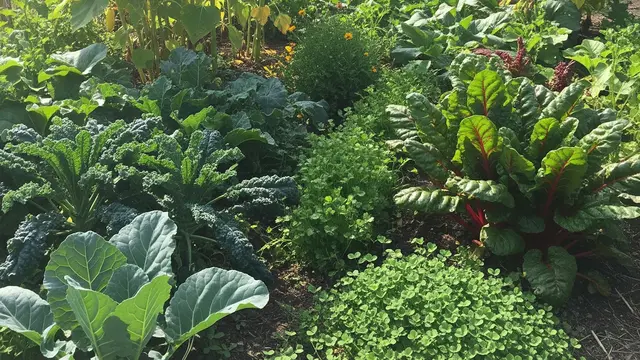 Tanaman Terbaik untuk Kebun Ayam Pakan Alami (AI)