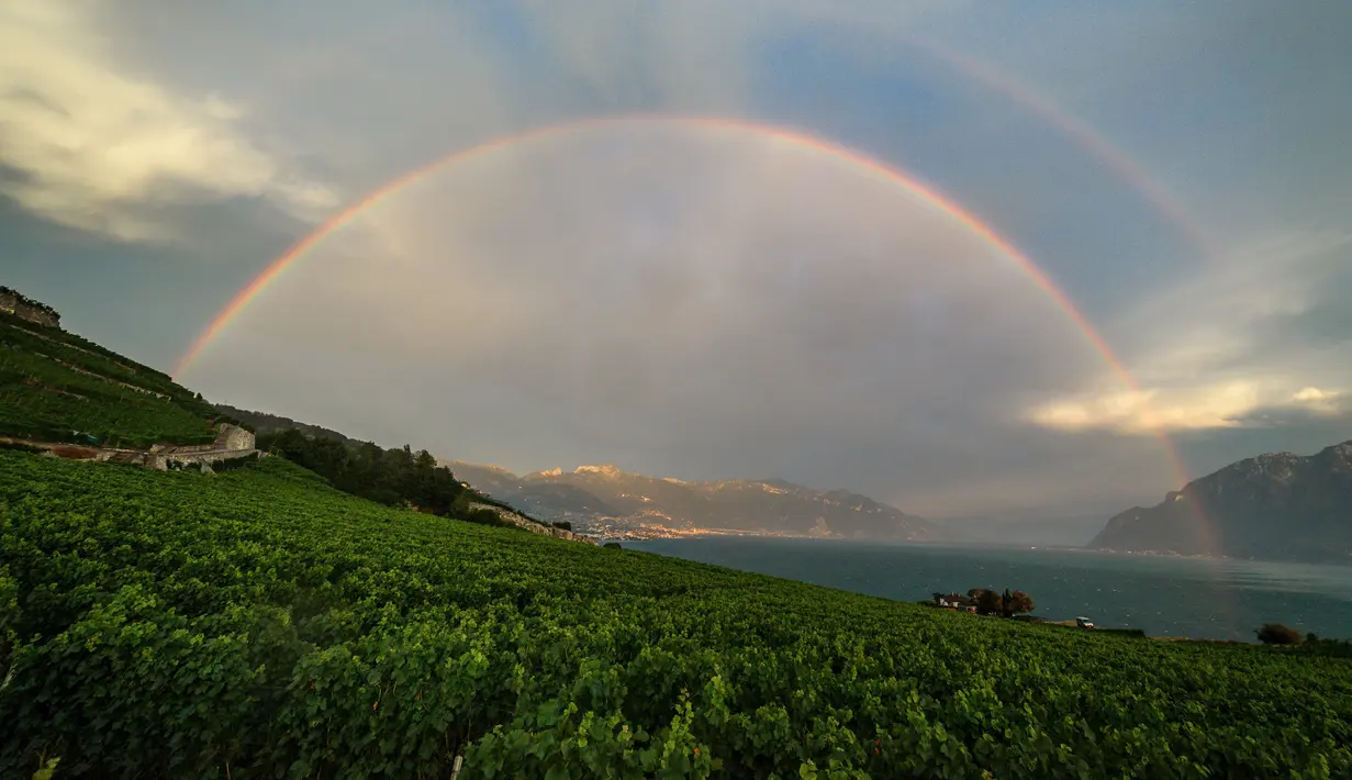 Pelangi terlihat di atas teras kebun anggur Lavaux di tepi Danau Jenewa di Chexbres, Swiss barat (1/8). (AFP Photo/Fabrice Coffrini)