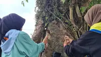 Aksi cabut paku pecinta alam se-Banjarnegara, Jawa Tengah, jelang Hari Konservasi Alam Nasional (HKAN) 2023. (Foto: Liputan6.com/Heni Purwono)