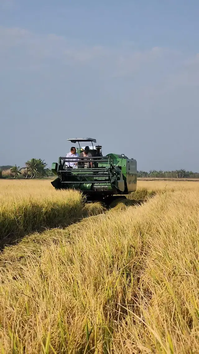 Peningkatan Kesejahteraan Petani