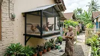 Cara Membuat Kandang Ayam Menempel Tembok yang Hemat Tempat, Ini 7 Desainnya