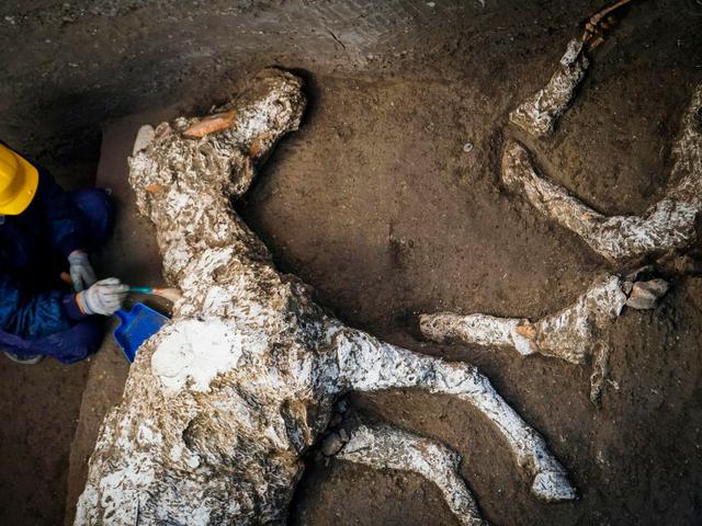 Jejak Baru Petaka Pompeii Temuan Kuda Yang Membatu Di Vila Kuno Global Liputan6 Com