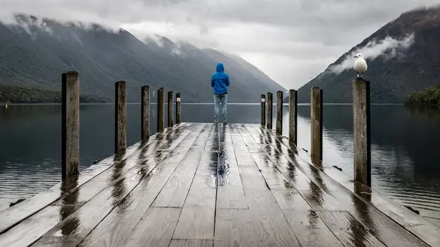 Rainy Day