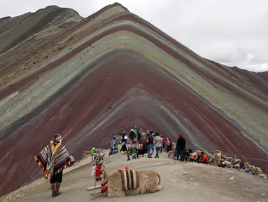 Seorang pria Andes beristirahat bersama llamanya di Gunung Pelangi di Pitumarca, Peru (2/4). Rainbow Mountain atau Gunung Pelangi memiliki warna-warni seperti pelangi ini memiliki ketinggian 16.404 kaki (5.000 meter) di Andes Peru. (AP Photo/Martin Mejia)