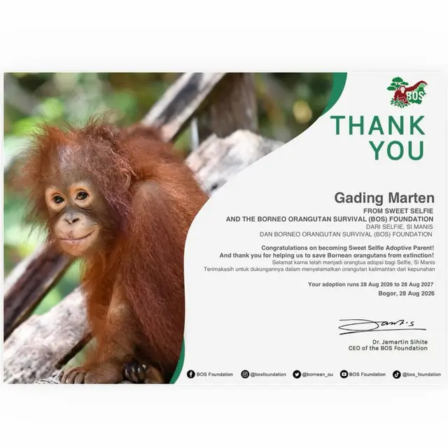 Gading Marten