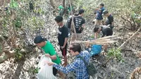 Wartawan Pecinta Lingkungan (WPL) dan komunitas pecinta Lingkungan Gogor Sejati serta pengelola ekowisata mangrove Wonorejo Surabaya menggelar tanam pohon 5.000 bibit mangrove dalam rangka Hari Menanam Pohon Indonesia. (Foto: Liputan6.com/Dian Kurniawan)