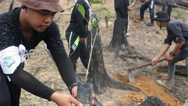 Tanam Pohon di Hutan Harapan