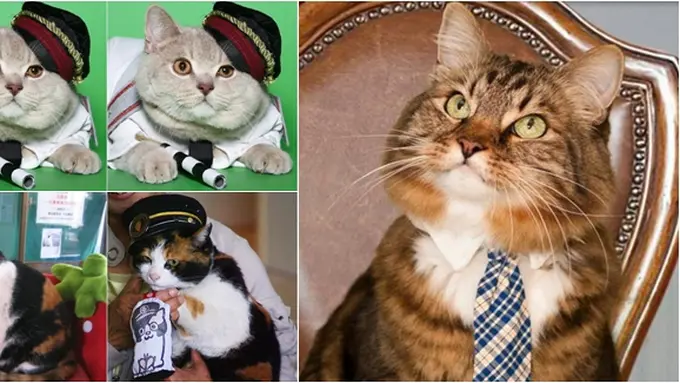 Foto copyright listverse.com