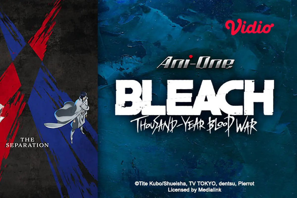 Anime Bleach (Vidio)