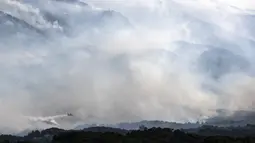 Sebuah pesawat pemadam kebakaran menjatuhkan air di atas hutan dekat Desa Schinos, Korintus, Yunani, Kamis (20/5/2021). Delapan pesawat dan tiga helikopter diterjunkan untuk menjatuhkan air ke titik api. (AP Photo/Petros Giannakouris)