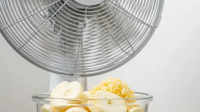 Cara Mengusir Cicak dengan Bawang Putih