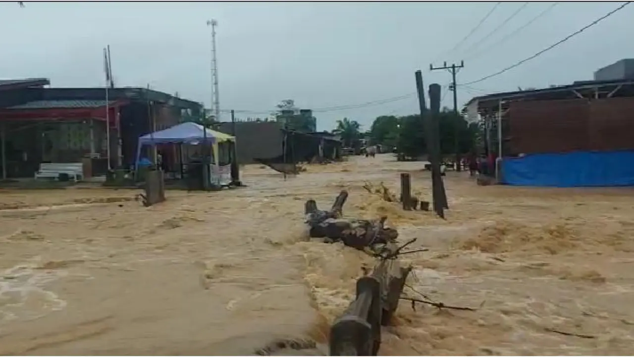 Banjir di Aceh Timur (Liputan6.com/Ist)