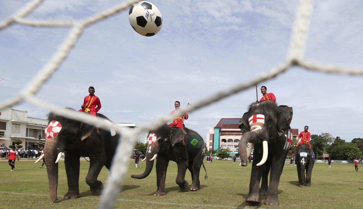Sejumlah gajah bermain sepak bola dengan badan dilukis bendera peserta Piala Dunia 2018 di Ayutthaya, Selasa (12/6/2018). Kegiatan yang dilakukan Sekolah Ayutthaya Wittayalai ini dilakukan untuk memeriahkan Piala Dunia. (AP/Sakchai Lalit)