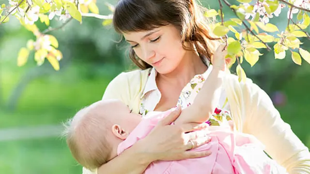 Foto: copyright shutterstock.com