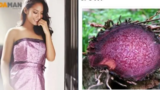 6 Potret Tara Basro Mirip Umbi-umbian Ala Netizen, Kocak Banget