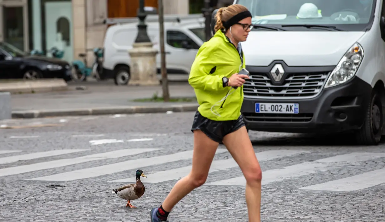 Seorang warga sedang berjoging melewati seekor bebek di Paris, Prancis (6/4/2020). Selama lockdown, orang-orang diharuskan tetap berada di rumah, kecuali untuk urusan pekerjaan, keperluan kesehatan, atau belanja kebutuhan. (Xinhua/Aurelien Morissard)