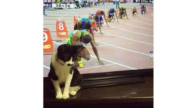 Berkat Timing yang Pas, 7 Foto Ini Terlihat Menarik Banget