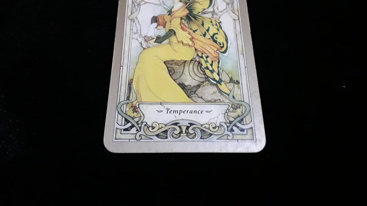 Tarot cinta