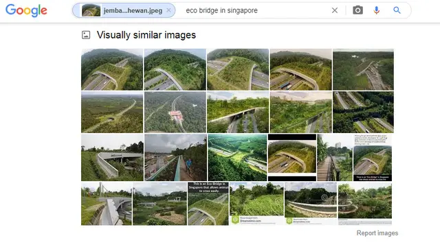 Hasil penelusuran Google Image2
