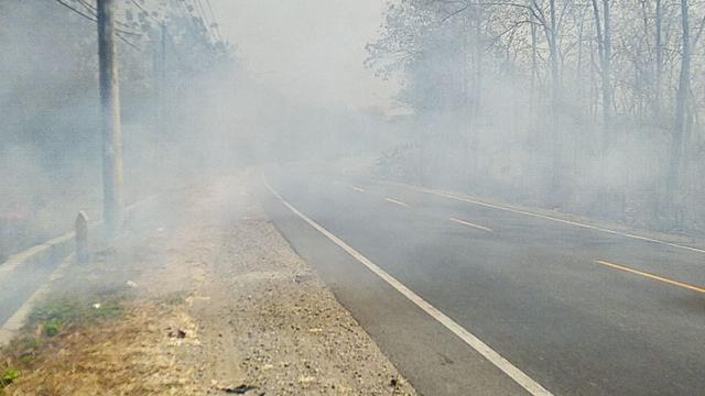 Waspada El Nino dan Puntung Rokok, Ini Daerah-Daerah Rawan Kebakaran Hutan di Jateng