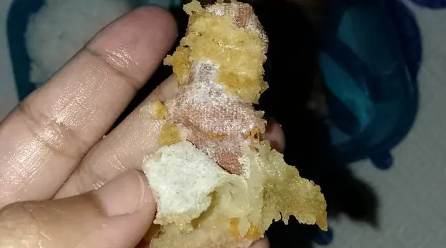 Viral Ada Plester Bekas dalam Menu MBG di SD Sukabumi, Pengelola Dapur SPPG Minta Maaf