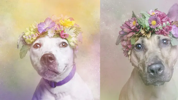 Foto: copyright elitedaily.com