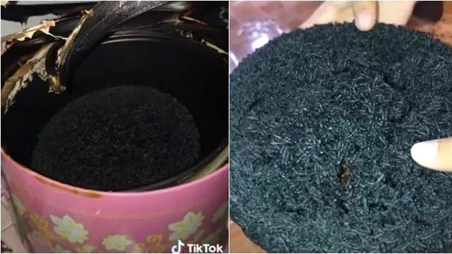 6 Momen Apes Masak Pakai Rice Cooker Ini Bikin Elus Dada, Suasana Hati Jadi Buruk
