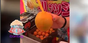 Minum Jeruk Langsung dari Buahnya