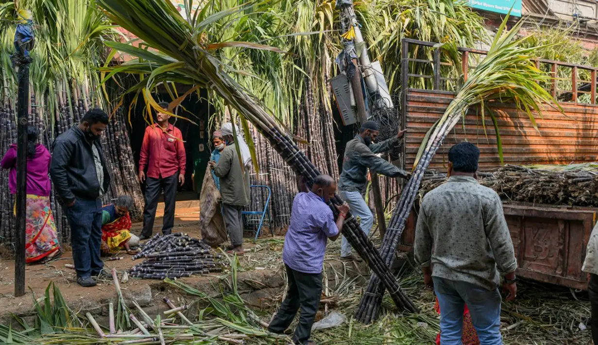 Orang-orang membeli tebu yang akan digunakan secara luas pada festival panen Makar Sankranti di pasar grosir di Bangalore, India, Rabu (12/1/2022). Makar Sankranti adalah sebuah perayaan Hindu yang dirayakan hampir seluruh bagian India dan Nepal dalam bentuk kebudayaan. (MANJUNATH KIRAN/AFP)