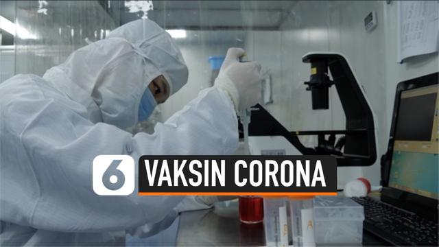 vaksin corona