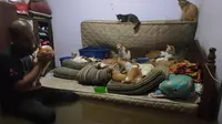 Viral Pria Rela Terjang Banjir Demi Selamatkan 32 Kucing, Bikin Haru