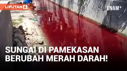 VIDEO: Sungai di Pamekasan Mendadak Berubah Warna Menjadi Merah Darah