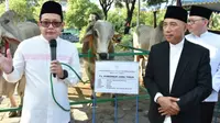 Adhy Karyono menyerahkan sapi berjenis Peranakan Ongole dengan berat 950 kg kepada Masjid Nasional Al-Akbar Surabaya. (Istimewa)