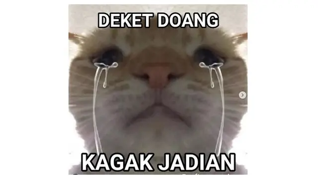 6 Meme Pakai Gambar Hewan Ini Kocak, Bikin Tepuk Jidat