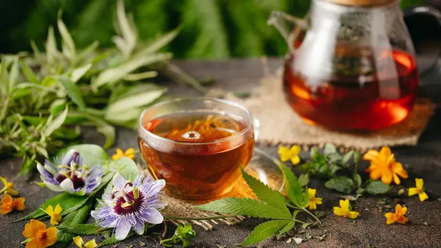 Bukan Hanya Bisa Bikin Kurus, Ini 4 Khasiat Luar Biasa Teh Bagi Tubuh yang Wajib Diketahui