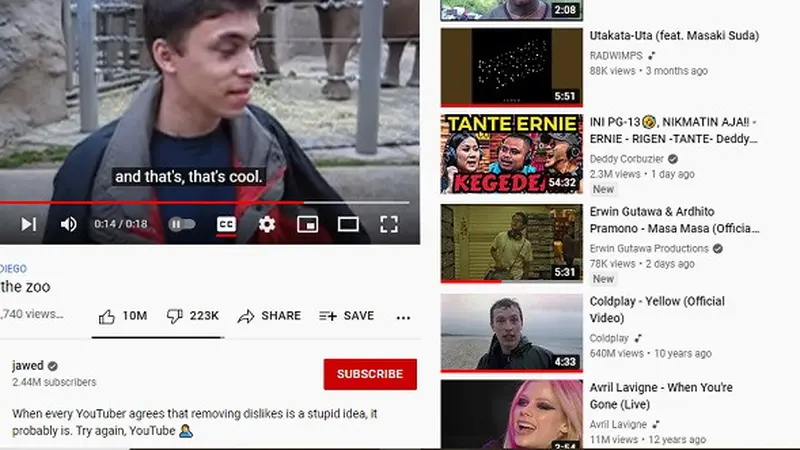 Salah satu pendiri YouTube mengomentari kebijakan menghilangkan jumlah dislike lewat video pertama yang diunggah di platform itu (Tangkapan layar YouTube)