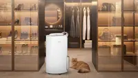 Tips Memilih Dehumidifier untuk Cegah Jamur, Bau Apek, dan Udara Lembap yang Ganggu Kesehatan