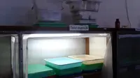 Ternak Nyamuk, Untuk Apa?