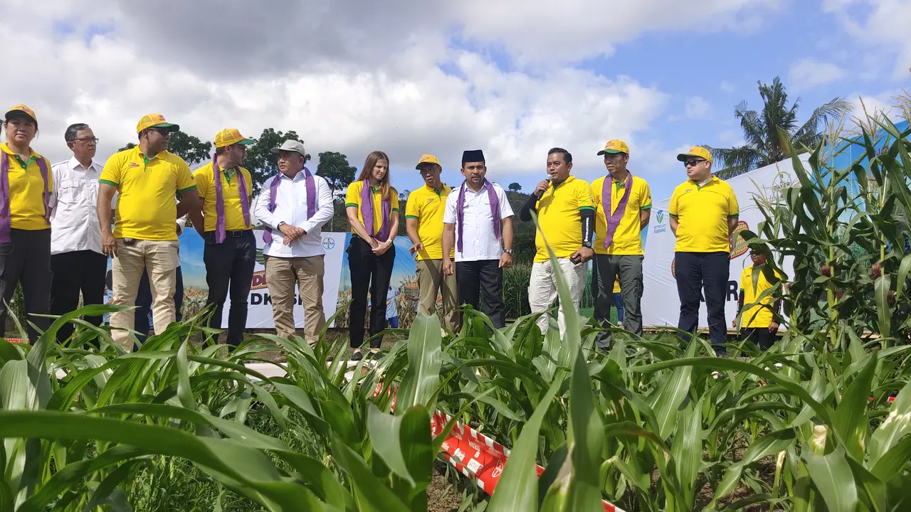 Kementerian Pertanian Bersama Pemerintah Kabupaten Dompu dan PT Bayer Indonesia meninjau hasil panen jagung hibrida di Bayer Better Life Farming, Manggelewa, Kabupaten Dompu, Nusa Tenggara Barat. (Liputan6.com/Dicky Agung Prihanto)