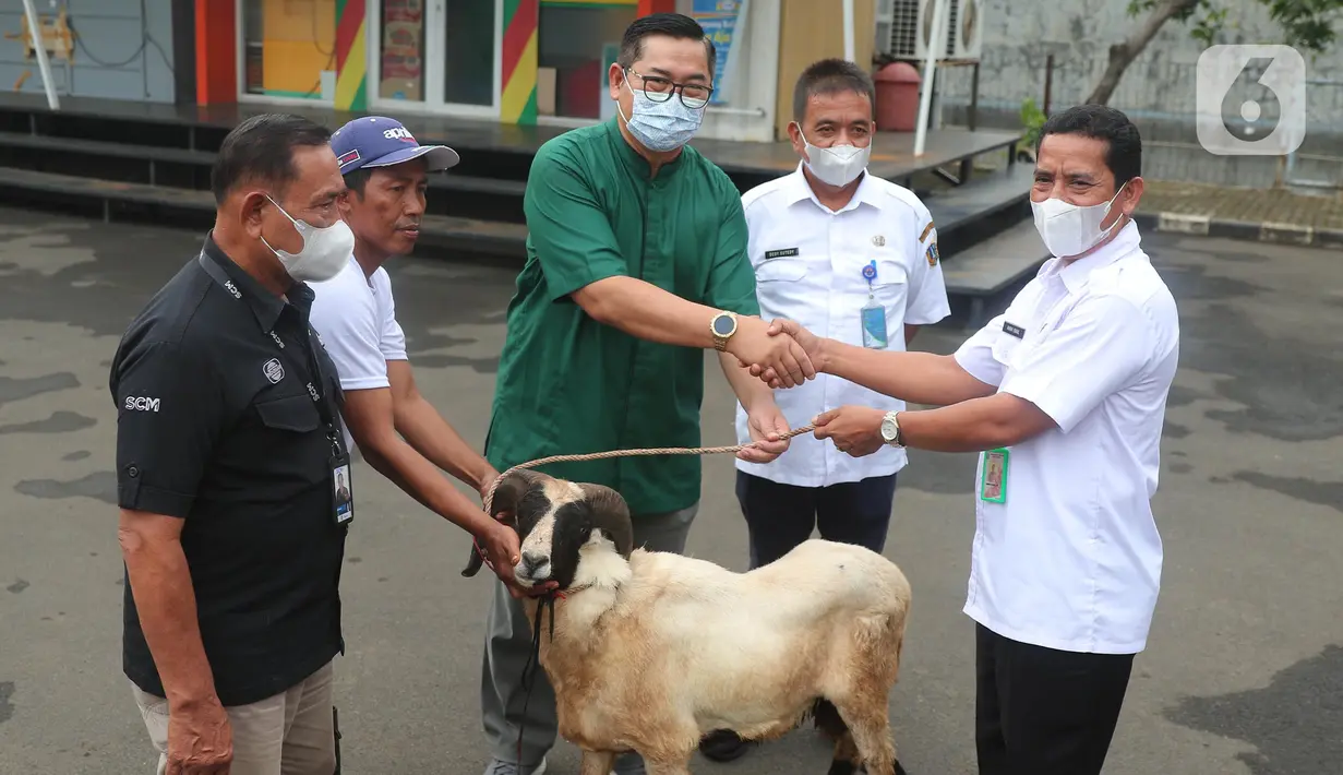 Corporate Secretary Division Head SCM Grup Gilang Iskandar (kemeja hijau) menyerahkan hewan kurban secara simbolis di studio 5 Indosiar, Daan Mogot, Jakarta, Rabu (6/7/2022). PT SCM menyerahkan sejumlah hewan kurban kepada masyarakat jelang Hari Raya Idul Adha ada 65 hewan kurban yang diserahkan SCM tahun ini. (Liputan6.com/Angga Yuniar)