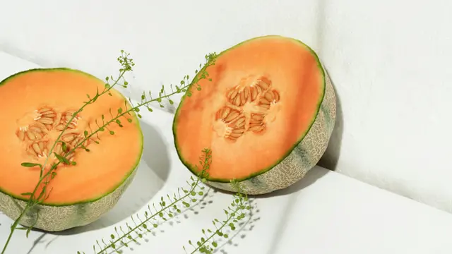 Varietas Melon Segar/Photo by Otherness TV on Unsplash