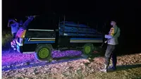 Hendak Dibawa ke Medan, 4 Ton Getah Pinus Ilegal Diamankan Polisi