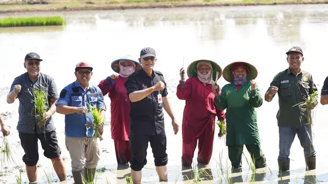 Kegiatan Optimasi Lahan Rawa