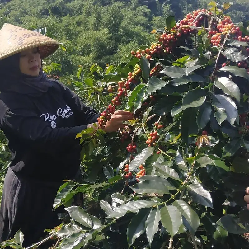 Punya Prospek Tinggi, Kementan Dorong Generasi Muda Perkuat dan Ciptakan Produk Turunan Perkebunan yang Mendunia