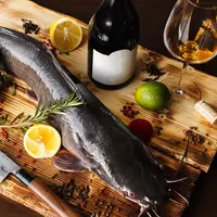 ilustrasi ikan lele/photo copyright by iliasalaev Shutterstock