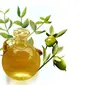 Selain minyak zaitun ternyata masih banyak jenis minyak lainnya yang manfaatnya sangat baik untuk kecantikan, salah satunya minyak jojoba.