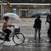 Seorang wanita mengendarai sepeda saat hujan lebat di distrik Akihabara Tokyo (13/8/2022). Hujan lebat yang dibawa oleh Badai Tropis Meari melanda daerah tersebut. (AFP/ Richard A. Brooks)