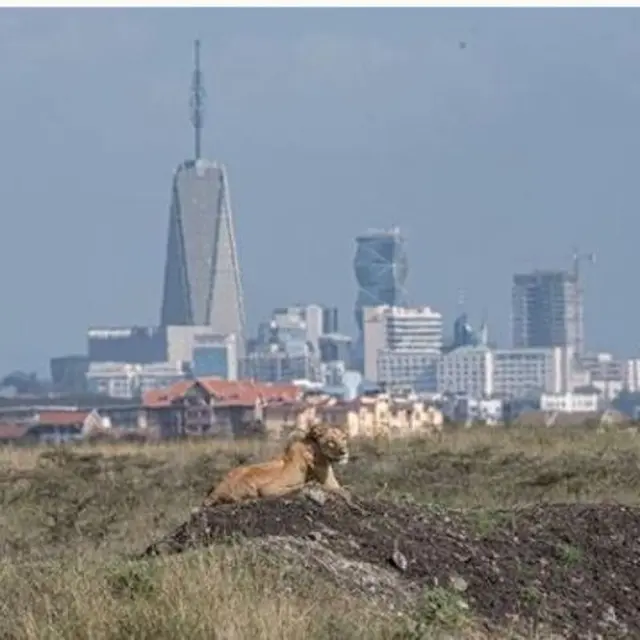 Nairobi National Park