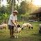Ide Peternakan untuk yang Mau Slow Living. Foto: Gemini