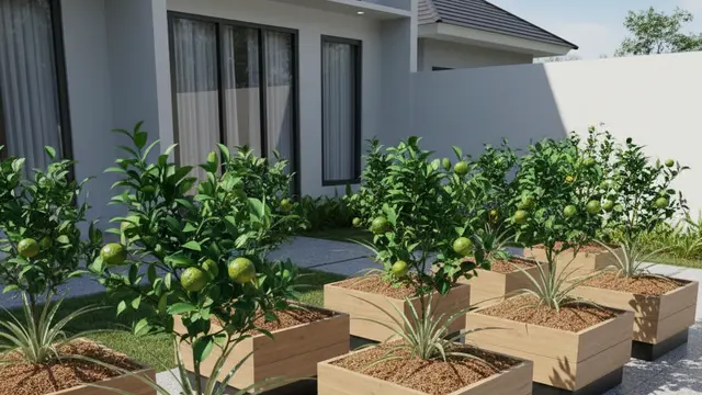 Desain Kebun Buah Mini di Rumah Sempit. AI